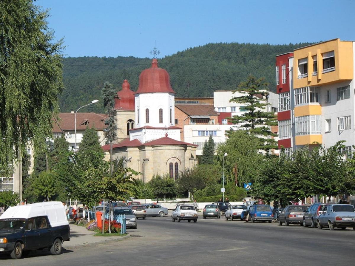 Garsoniera Jad Appartement Tîrgu Ocna Buitenkant foto